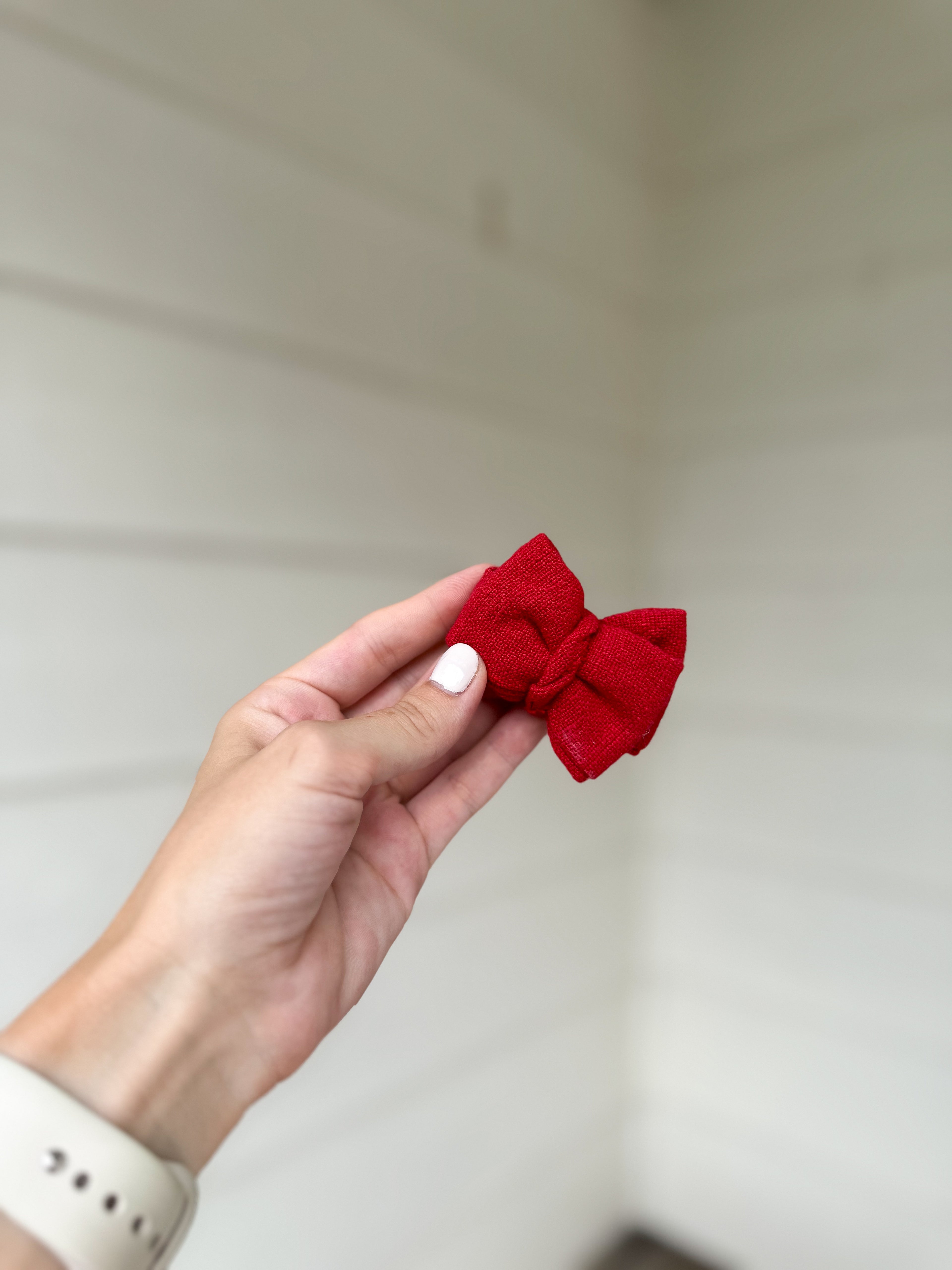 Firecracker Sprouts Bow